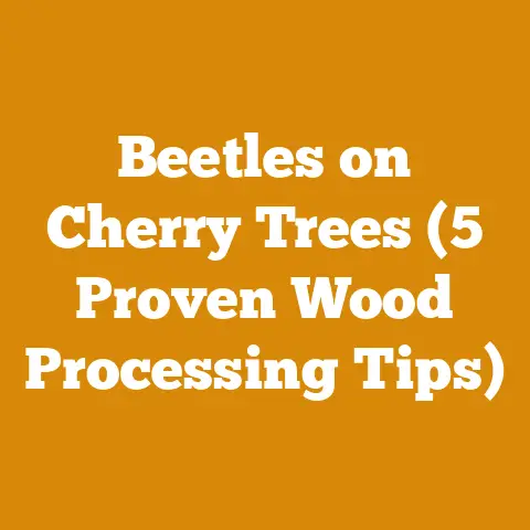 Beetles on Cherry Trees (5 Proven Wood Processing Tips)