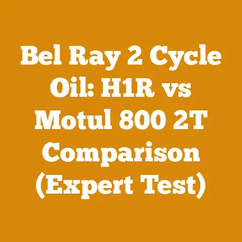 Bel Ray 2 Cycle Oil: H1R vs Motul 800 2T Comparison (Expert Test)