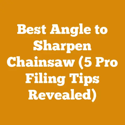 Best Angle to Sharpen Chainsaw (5 Pro Filing Tips Revealed)