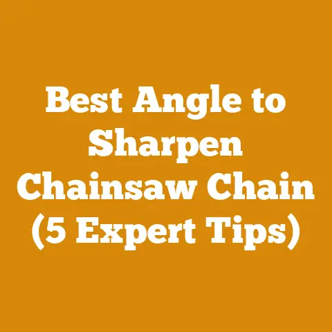 Best Angle to Sharpen Chainsaw Chain (5 Expert Tips)