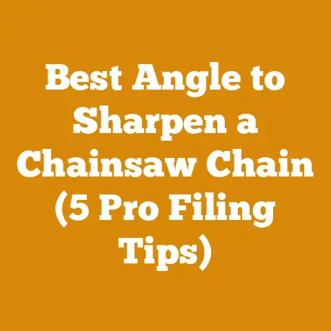 Best Angle to Sharpen a Chainsaw Chain (5 Pro Filing Tips)