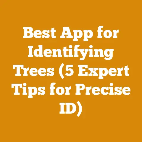 Best App for Identifying Trees (5 Expert Tips for Precise ID)