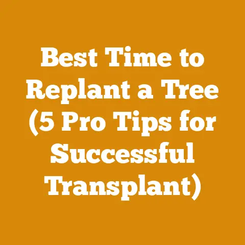 Best Time to Replant a Tree (5 Pro Tips for Successful Transplant)