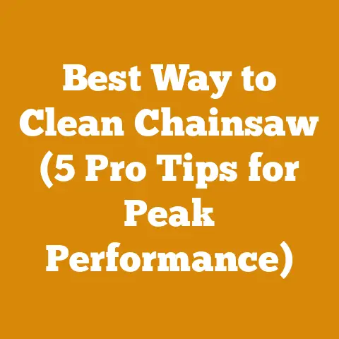 Best Way to Clean Chainsaw (5 Pro Tips for Peak Performance)