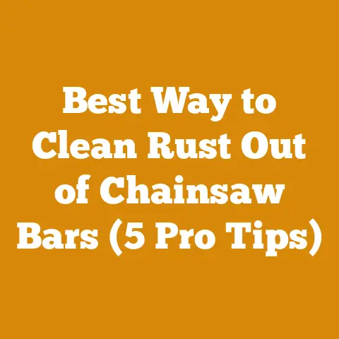 Best Way to Clean Rust Out of Chainsaw Bars (5 Pro Tips)