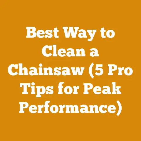 Best Way to Clean a Chainsaw (5 Pro Tips for Peak Performance)