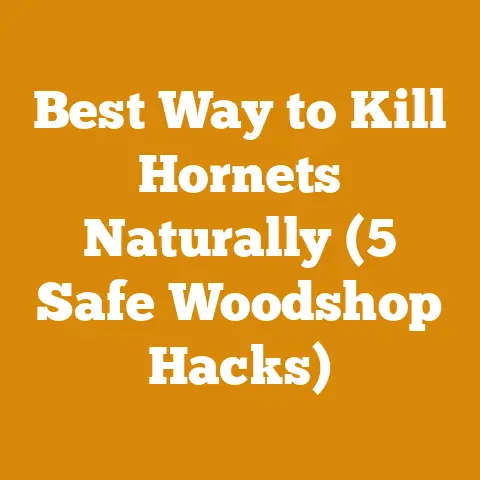 Best Way to Kill Hornets Naturally (5 Safe Woodshop Hacks)
