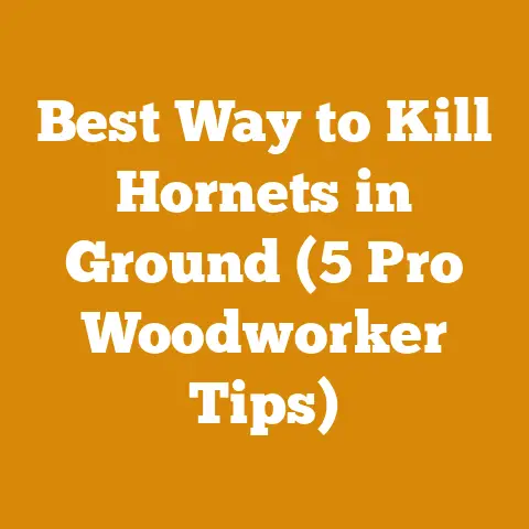 Best Way to Kill Hornets in Ground (5 Pro Woodworker Tips)
