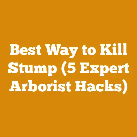 Best Way to Kill Stump (5 Expert Arborist Hacks)