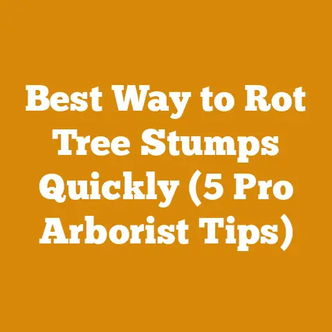 Best Way to Rot Tree Stumps Quickly (5 Pro Arborist Tips)