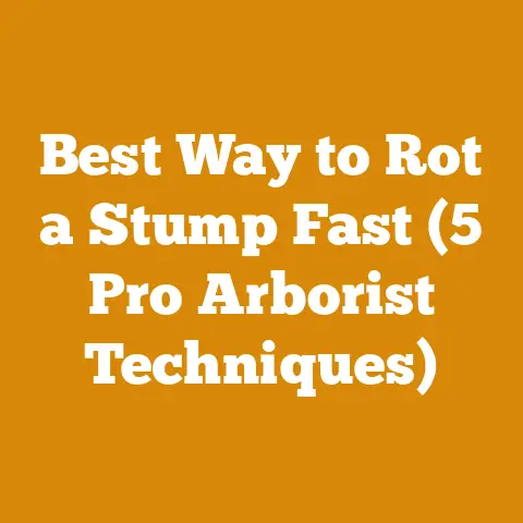 Best Way to Rot a Stump Fast (5 Pro Arborist Techniques)