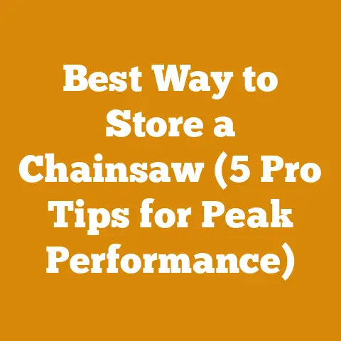 Best Way to Store a Chainsaw (5 Pro Tips for Peak Performance)