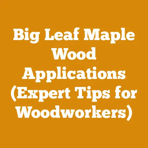 Big Leaf Maple Wood Applications (Expert Tips for Woodworkers)