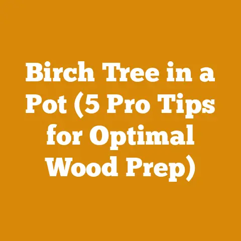Birch Tree in a Pot (5 Pro Tips for Optimal Wood Prep)