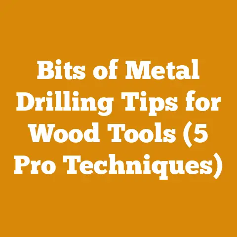 Bits of Metal Drilling Tips for Wood Tools (5 Pro Techniques)