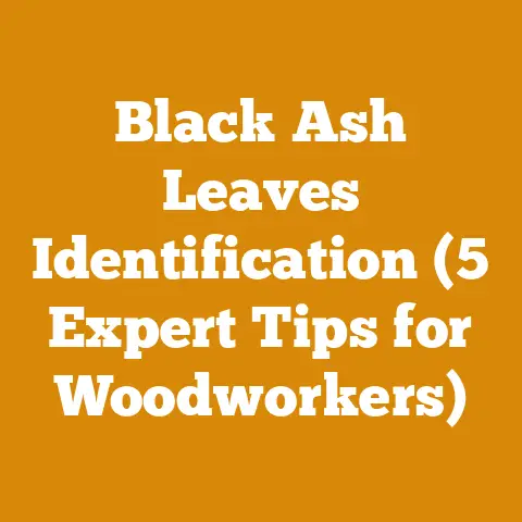 Black Ash Leaves Identification (5 Expert Tips for Woodworkers)