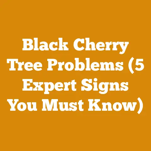 Black Cherry Tree Problems (5 Expert Signs You Must Know)
