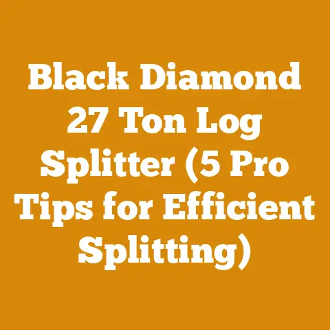 Black Diamond 27 Ton Log Splitter (5 Pro Tips for Efficient Splitting)