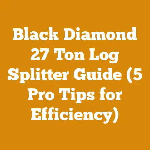 Black Diamond 27 Ton Log Splitter Guide (5 Pro Tips for Efficiency)