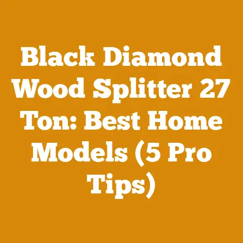 Black Diamond Wood Splitter 27 Ton: Best Home Models (5 Pro Tips)