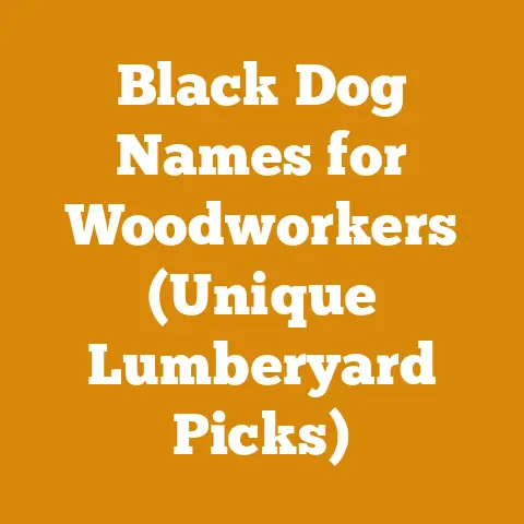 Black Dog Names for Woodworkers (Unique Lumberyard Picks)