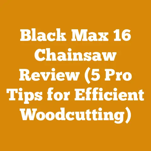 Black Max 16 Chainsaw Review (5 Pro Tips for Efficient Woodcutting)