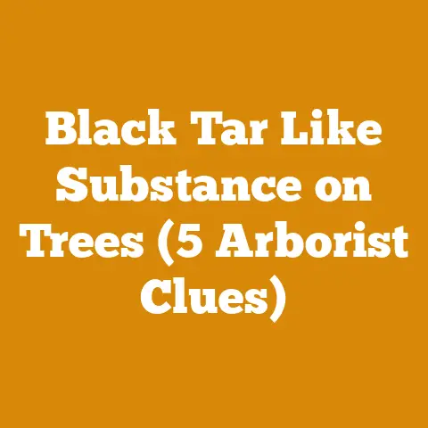 Black Tar Like Substance on Trees (5 Arborist Clues)