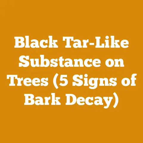 Black Tar-Like Substance on Trees (5 Signs of Bark Decay)