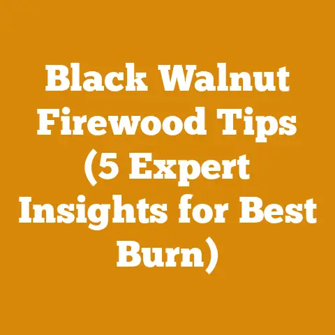 Black Walnut Firewood Tips (5 Expert Insights for Best Burn)