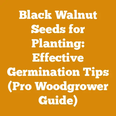 Black Walnut Seeds for Planting: Effective Germination Tips (Pro Woodgrower Guide)