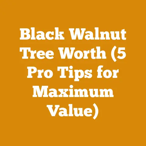 Black Walnut Tree Worth (5 Pro Tips for Maximum Value)