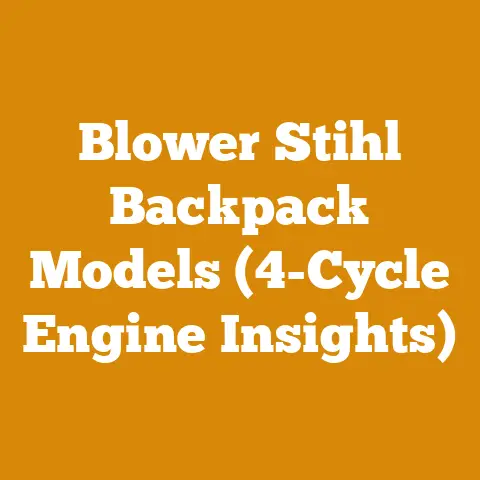 Blower Stihl Backpack Models (4-Cycle Engine Insights)