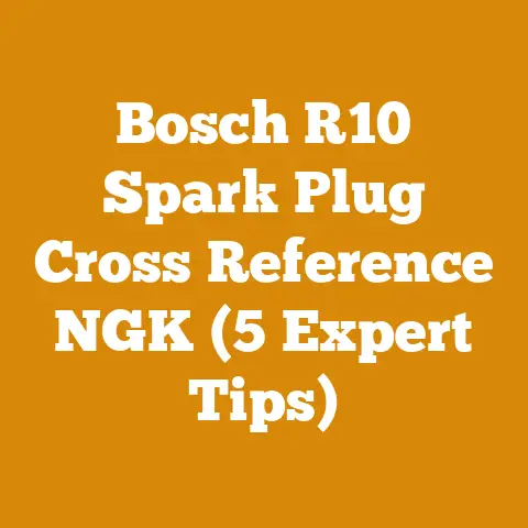 Bosch R10 Spark Plug Cross Reference NGK (5 Expert Tips)