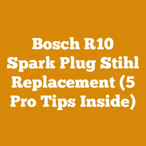 Bosch R10 Spark Plug Stihl Replacement (5 Pro Tips Inside)