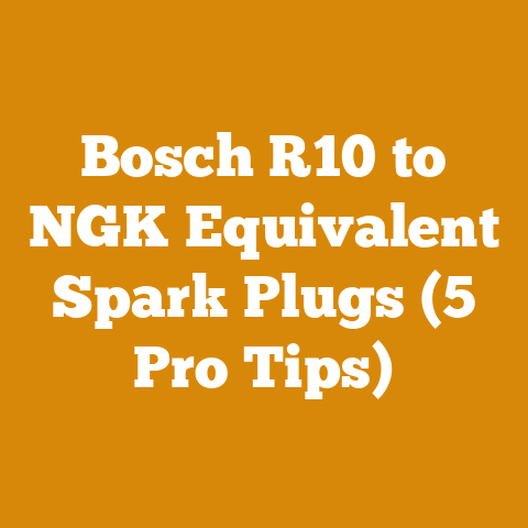 Bosch R10 to NGK Equivalent Spark Plugs (5 Pro Tips)