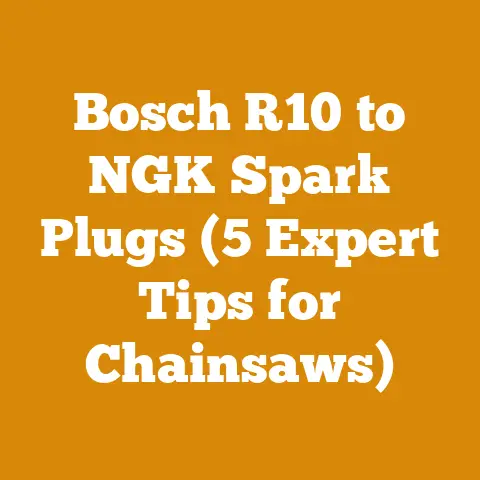 Bosch R10 to NGK Spark Plugs (5 Expert Tips for Chainsaws)