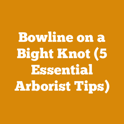 Bowline on a Bight Knot (5 Essential Arborist Tips)