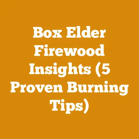 Box Elder Firewood Insights (5 Proven Burning Tips)