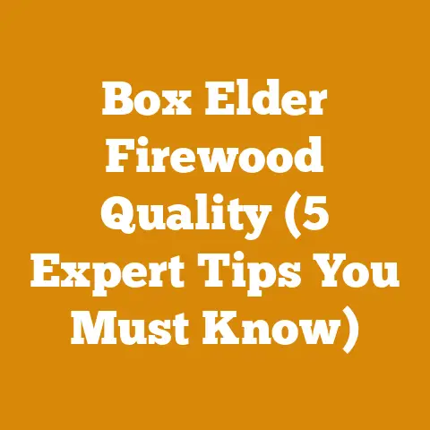 Box Elder Firewood Quality (5 Expert Tips You Must Know)