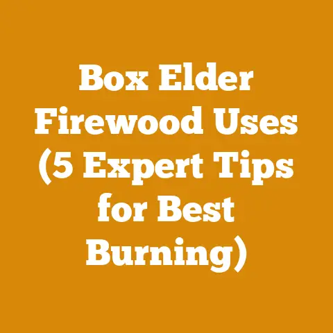 Box Elder Firewood Uses (5 Expert Tips for Best Burning)
