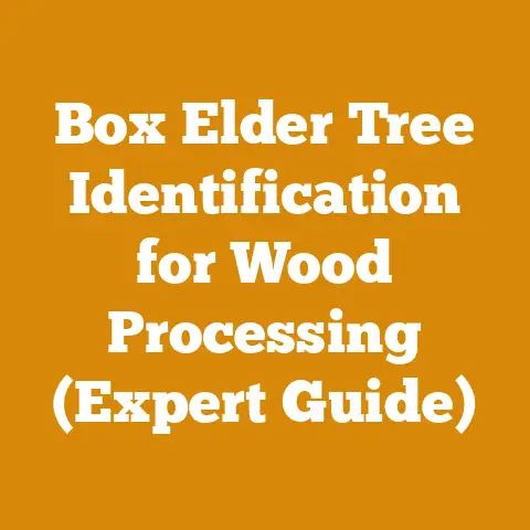 Box Elder Tree Identification for Wood Processing (Expert Guide)