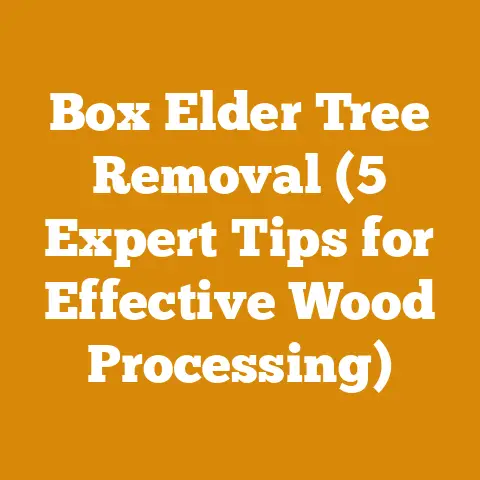 Box Elder Tree Removal (5 Expert Tips for Effective Wood Processing)