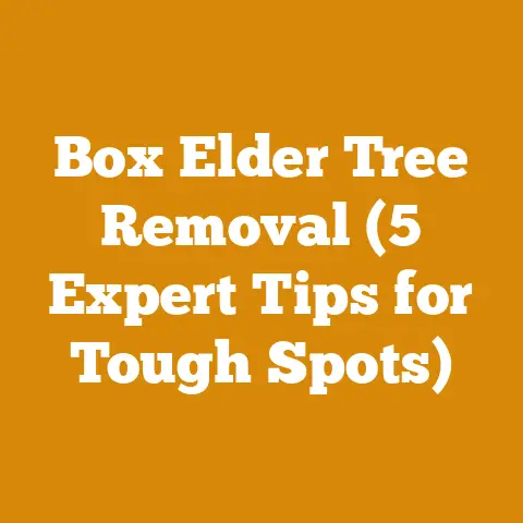 Box Elder Tree Removal (5 Expert Tips for Tough Spots)