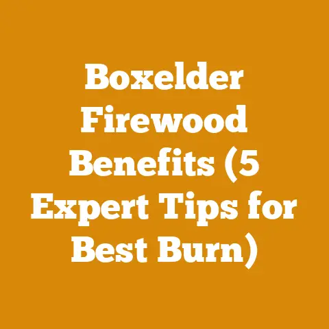 Boxelder Firewood Benefits (5 Expert Tips for Best Burn)