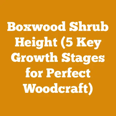 Boxwood Shrub Height (5 Key Growth Stages for Perfect Woodcraft)