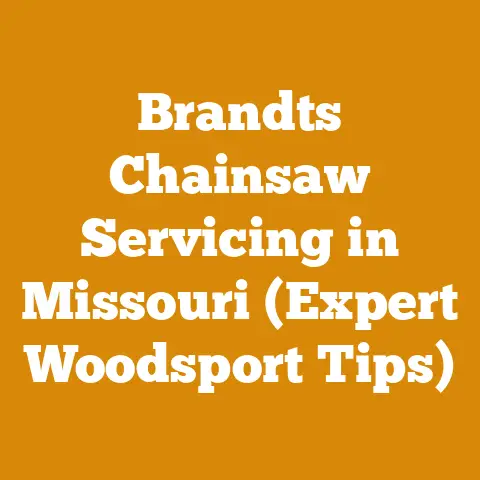 Brandts Chainsaw Servicing in Missouri (Expert Woodsport Tips)
