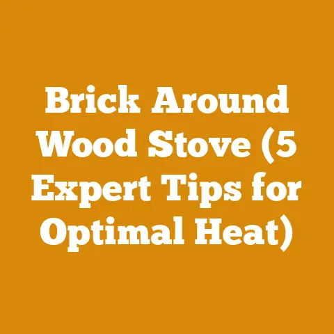 Brick Around Wood Stove (5 Expert Tips for Optimal Heat)
