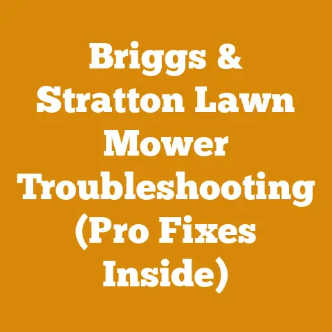 Briggs & Stratton Lawn Mower Troubleshooting (Pro Fixes Inside)