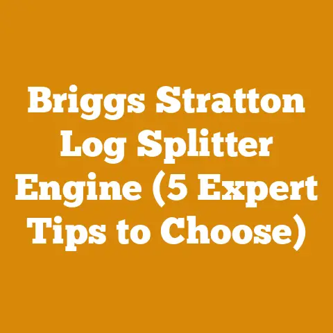 Briggs Stratton Log Splitter Engine (5 Expert Tips to Choose)