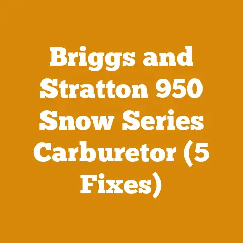 Briggs and Stratton 950 Snow Series Carburetor (5 Fixes)